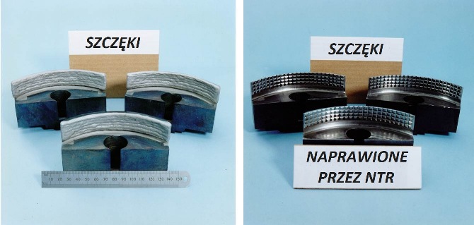Szczeki